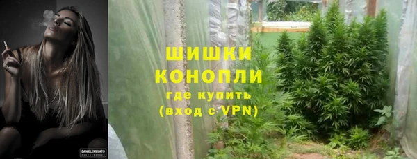 дурь Бронницы